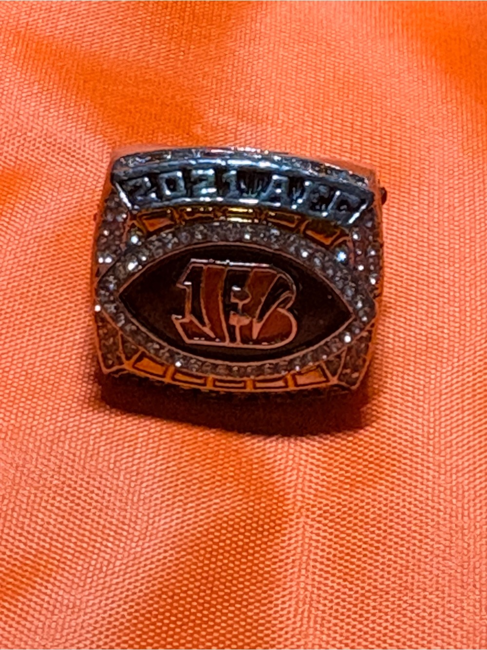Bengals AFC championship